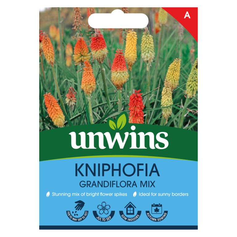 5051618035460 1 Kniphofia Grandiflora Mix Seeds.jpg